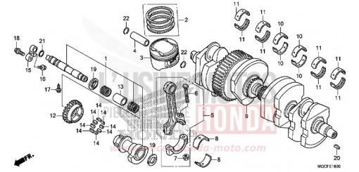 VILEBREQUIN/PISTON CB1100CAK de 2019