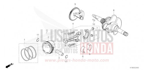 VILEBREQUIN/PISTON NSS350AP de 2023